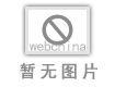 Continuously Adjustable Damping Shock Absorber